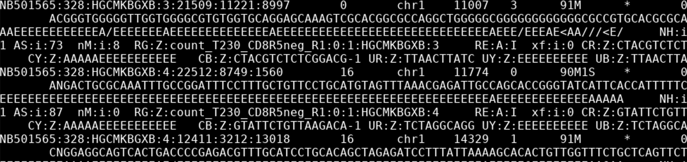 How to fix MemoryError (f" bam file {k} could not be sorted by cells. \n\ in run10x and run
