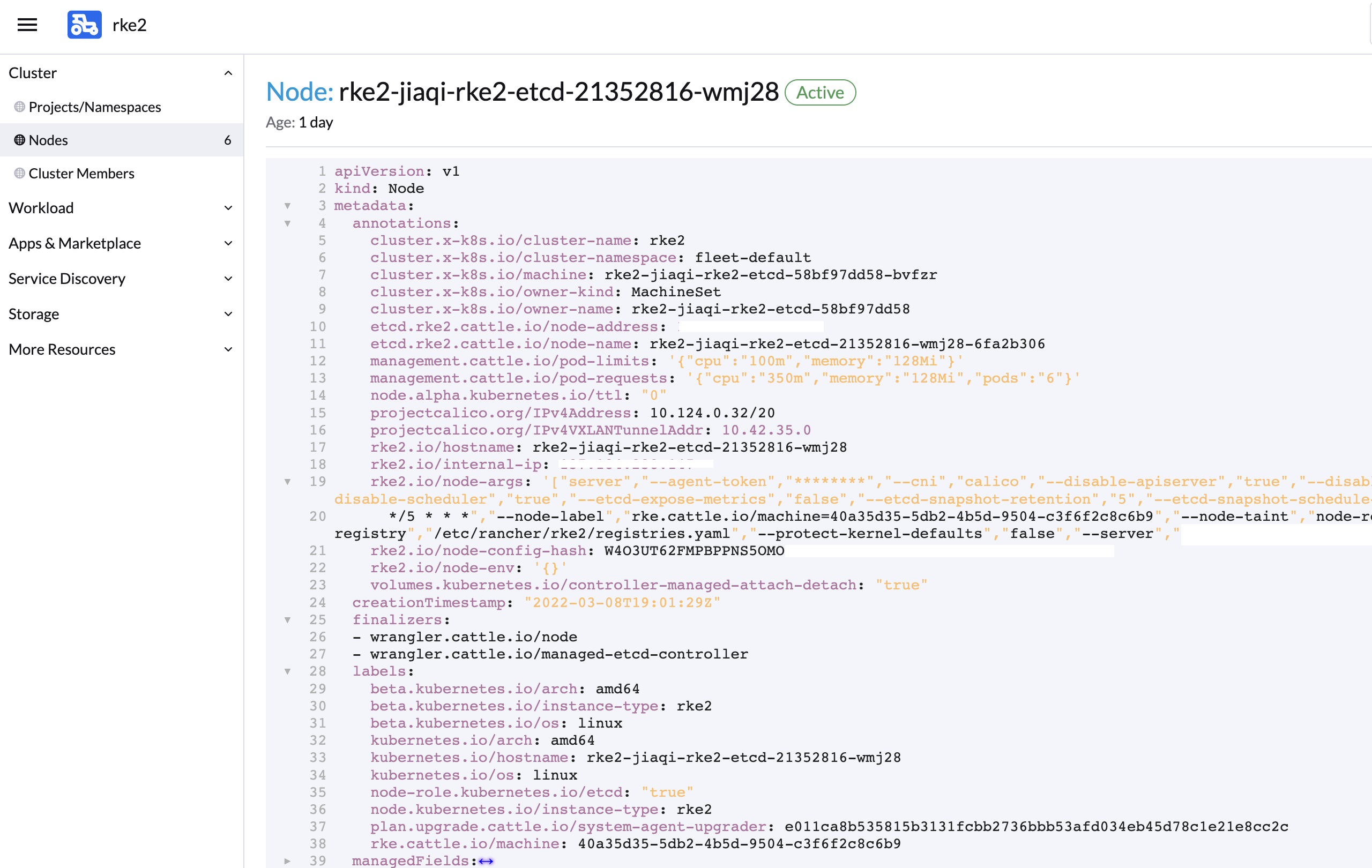 RKE2 the Label is missing from an ETCD