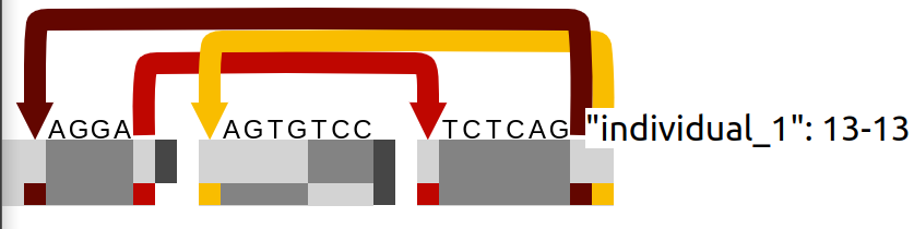 Small viz issues with test data · Issue #80 · graph-genome/Schematize ...