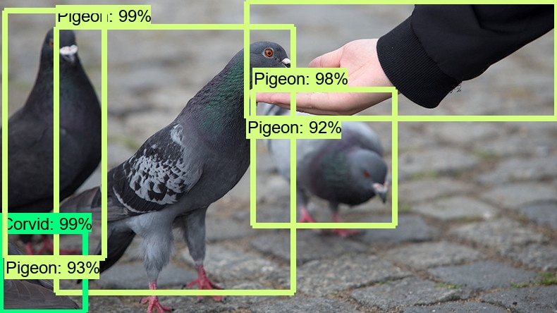 GitHub - soumyama/Bird_Tracking_Fish_Tracking: Models and examples ...