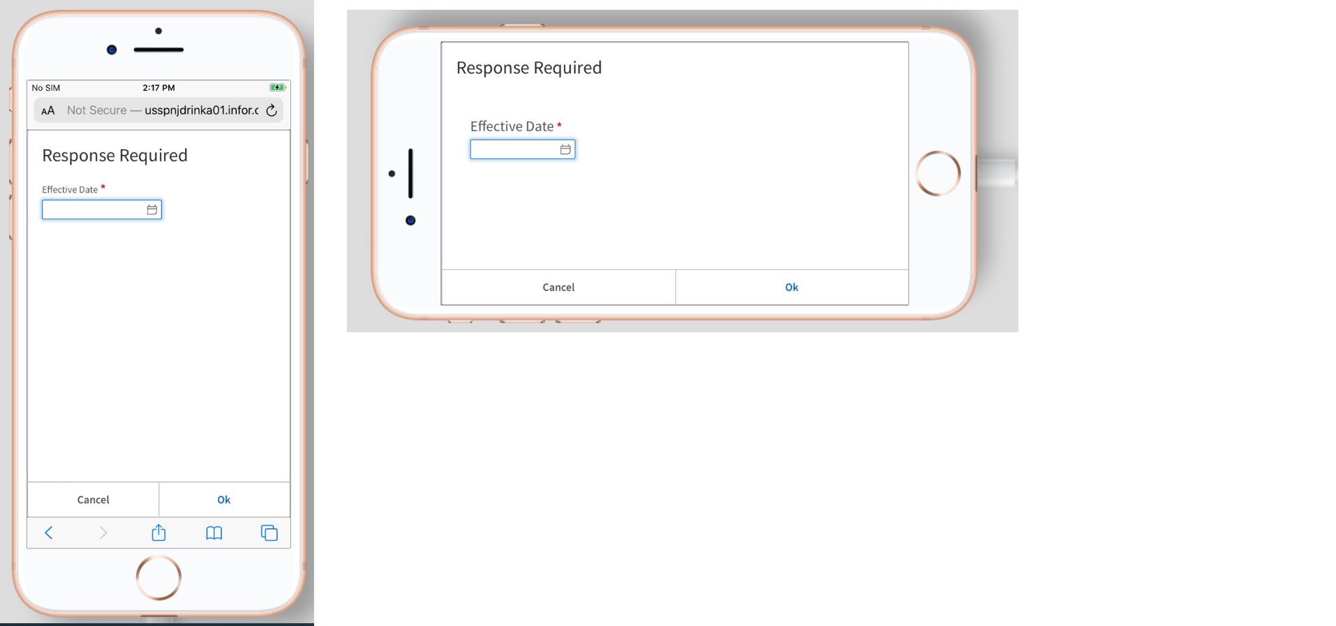 landmarkIphoneExample
