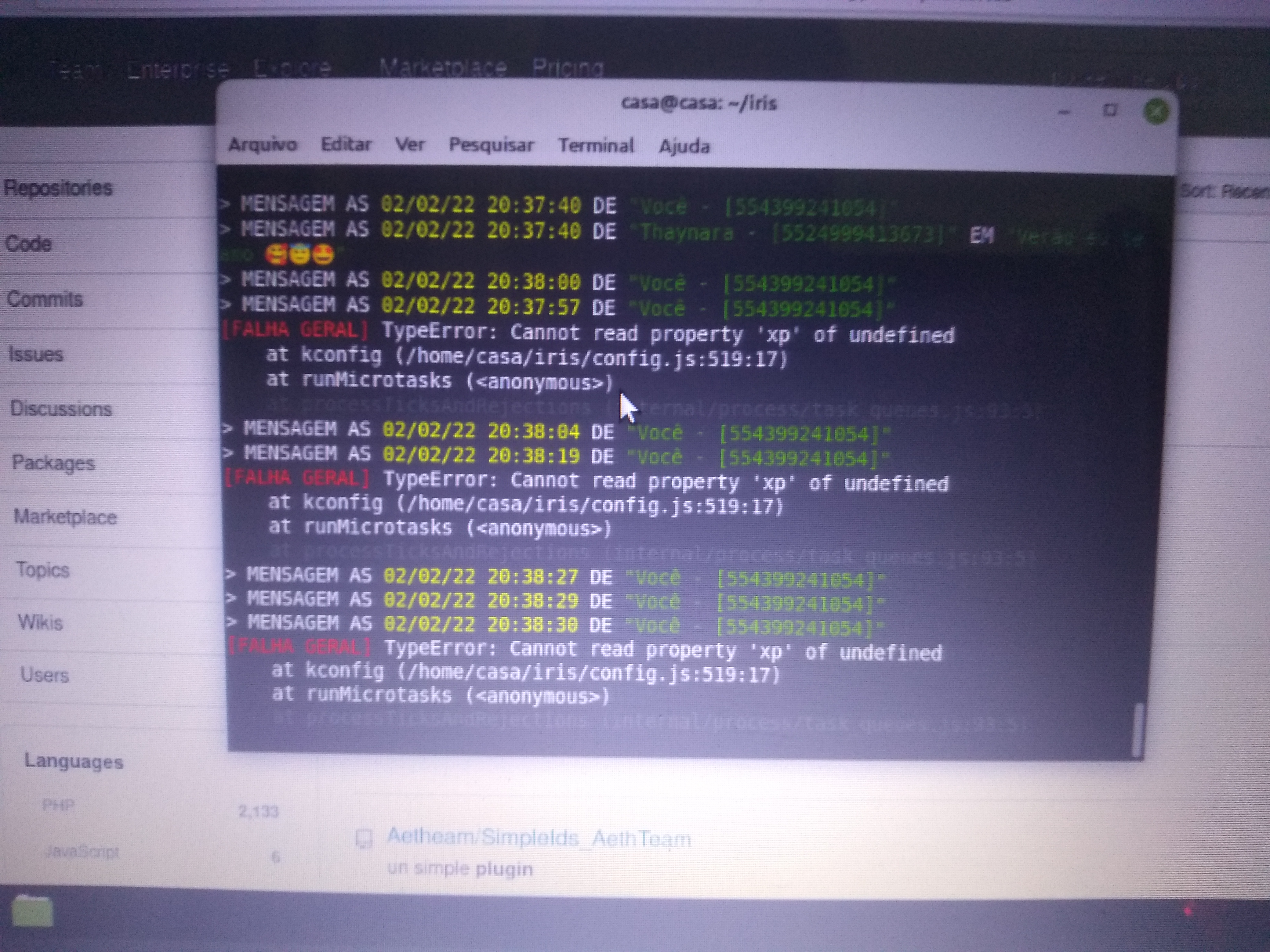 Erro (não sei qual) · Issue #520 · KillovSky/Iris · GitHub