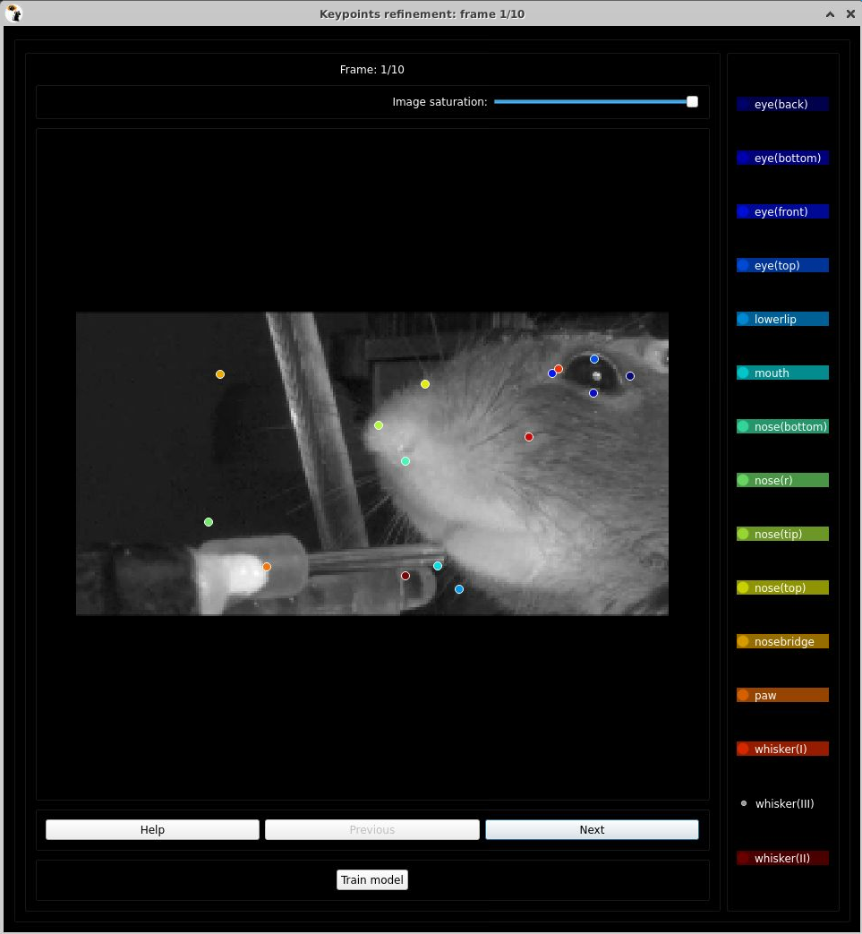 BUG GUI shows cropped and downsampled image · Issue 93