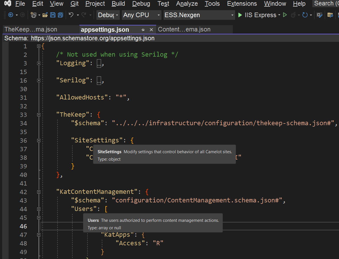 Allow custom schema declarations in net core appsettings json at any