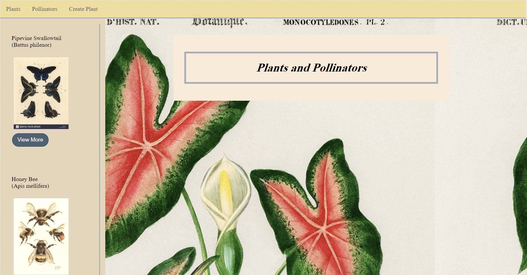 GitHub - jennidemuir/PlantandPollinatorFrontEnd: mod3 project front end