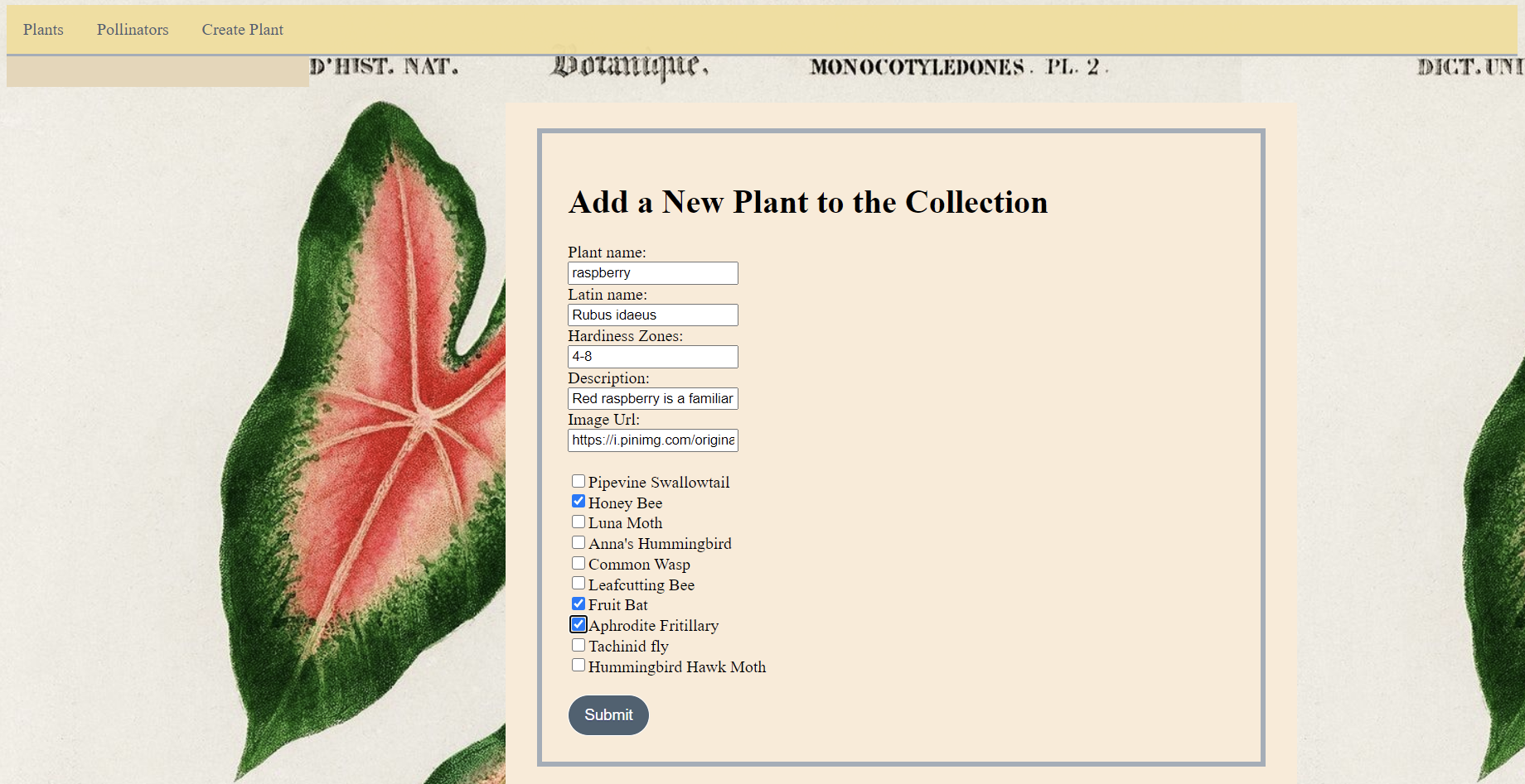 GitHub - jennidemuir/PlantandPollinatorFrontEnd: mod3 project front end