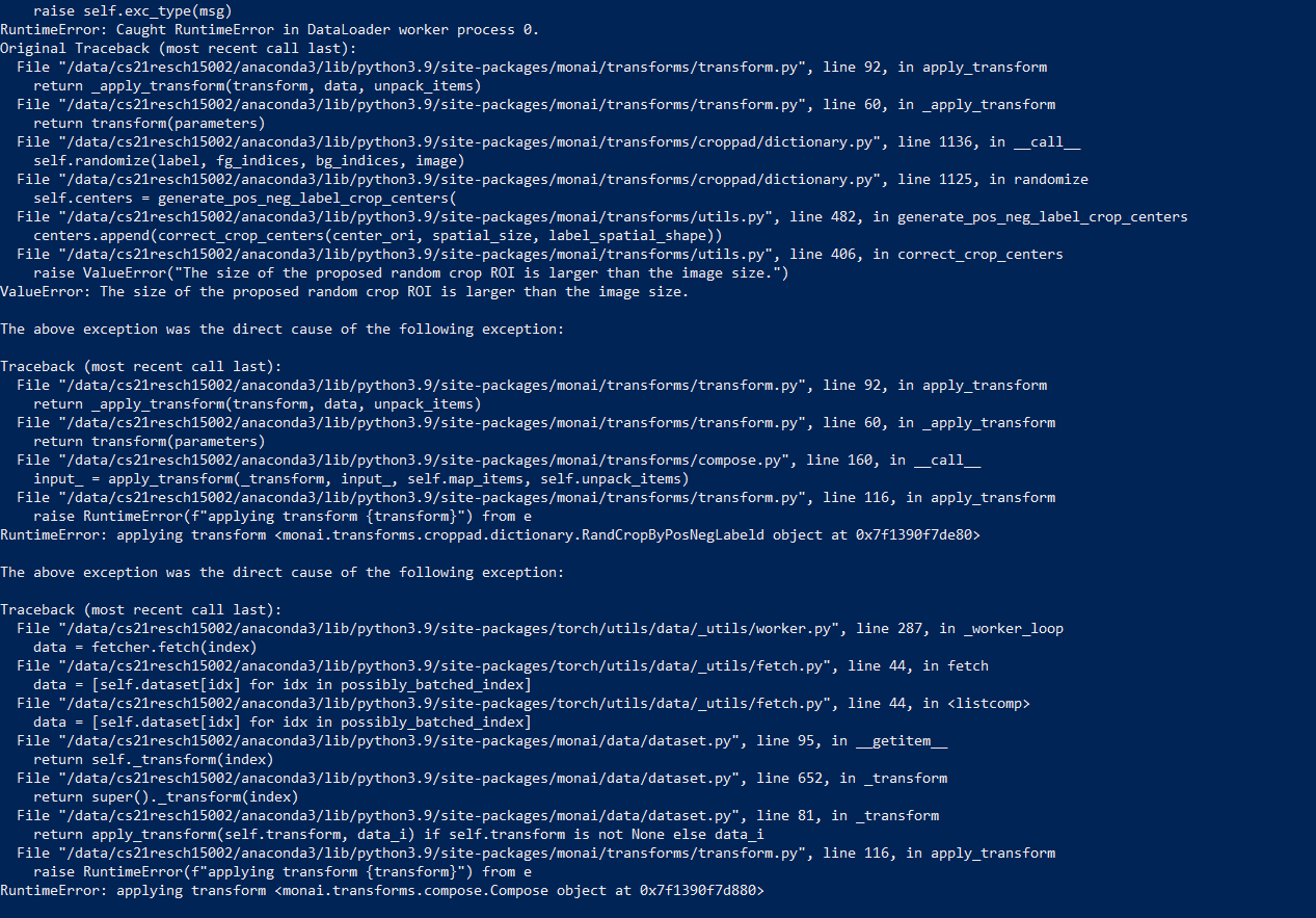 Getting Error RuntimeError applying transform while trying to