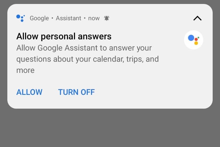 [🐛 Bug]: Personal Answer · Issue #800 · Melvin-Abraham/Google-Assistant ...