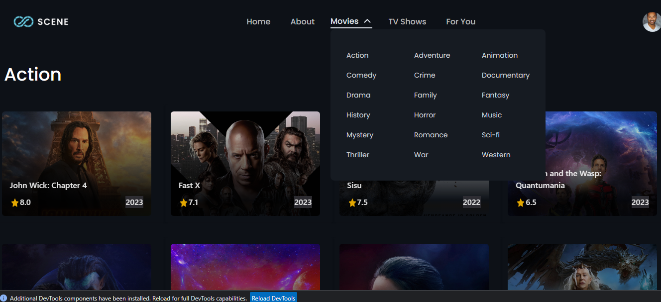 [BUG]: Movies Dropdown is not working · Issue #172 · sourabhsikarwar ...