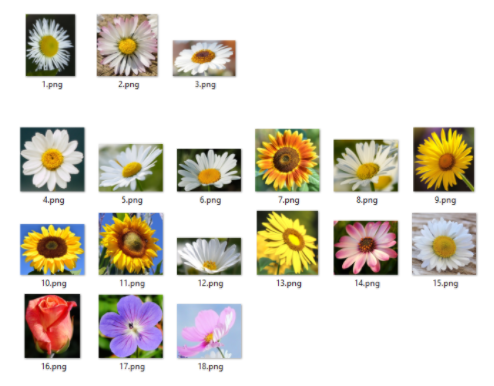 GitHub - Hodjy/Flower-Detector-OpenCV: :blossom: A program that uses ...