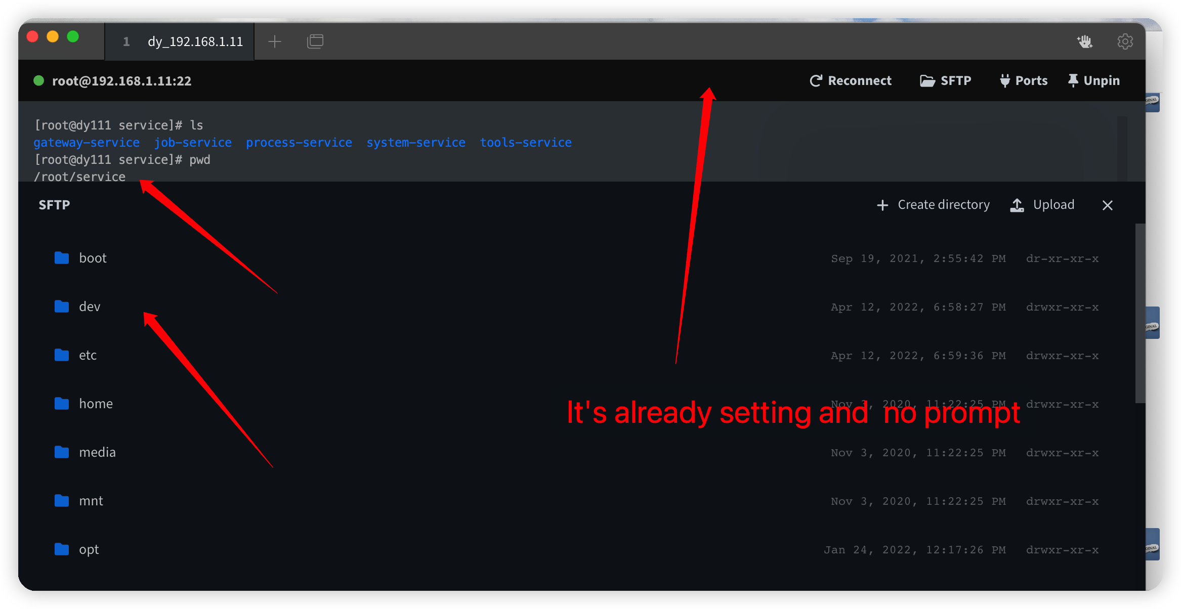 Latest version following shell directory does not take effect · Issue ...