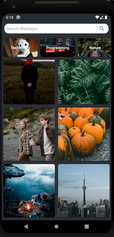 GitHub - Abhinav2011/Wallpapers: Wallpaper app made using PEXELS api