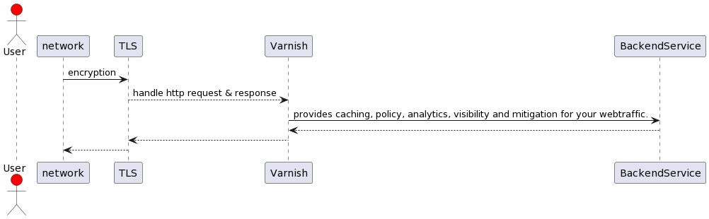 varnish in network
