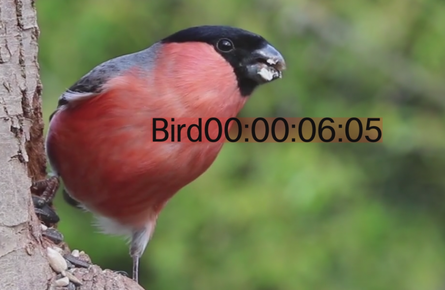 time code with color box