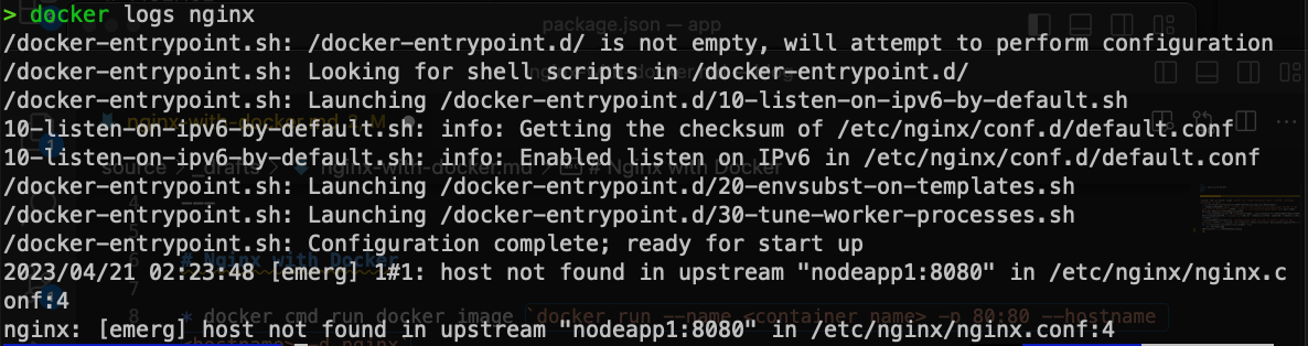 error in nginx container