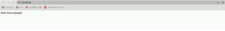 nginx will pass through the traffic