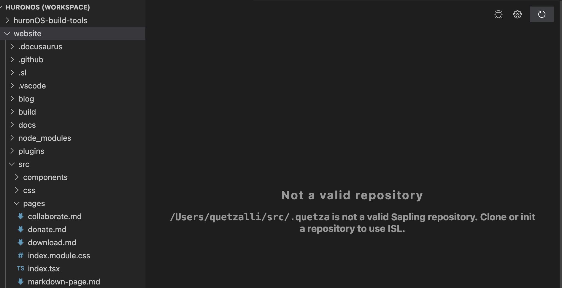 [ISL] [VSCode] Ignore nonsapling repos when on multiroot environment