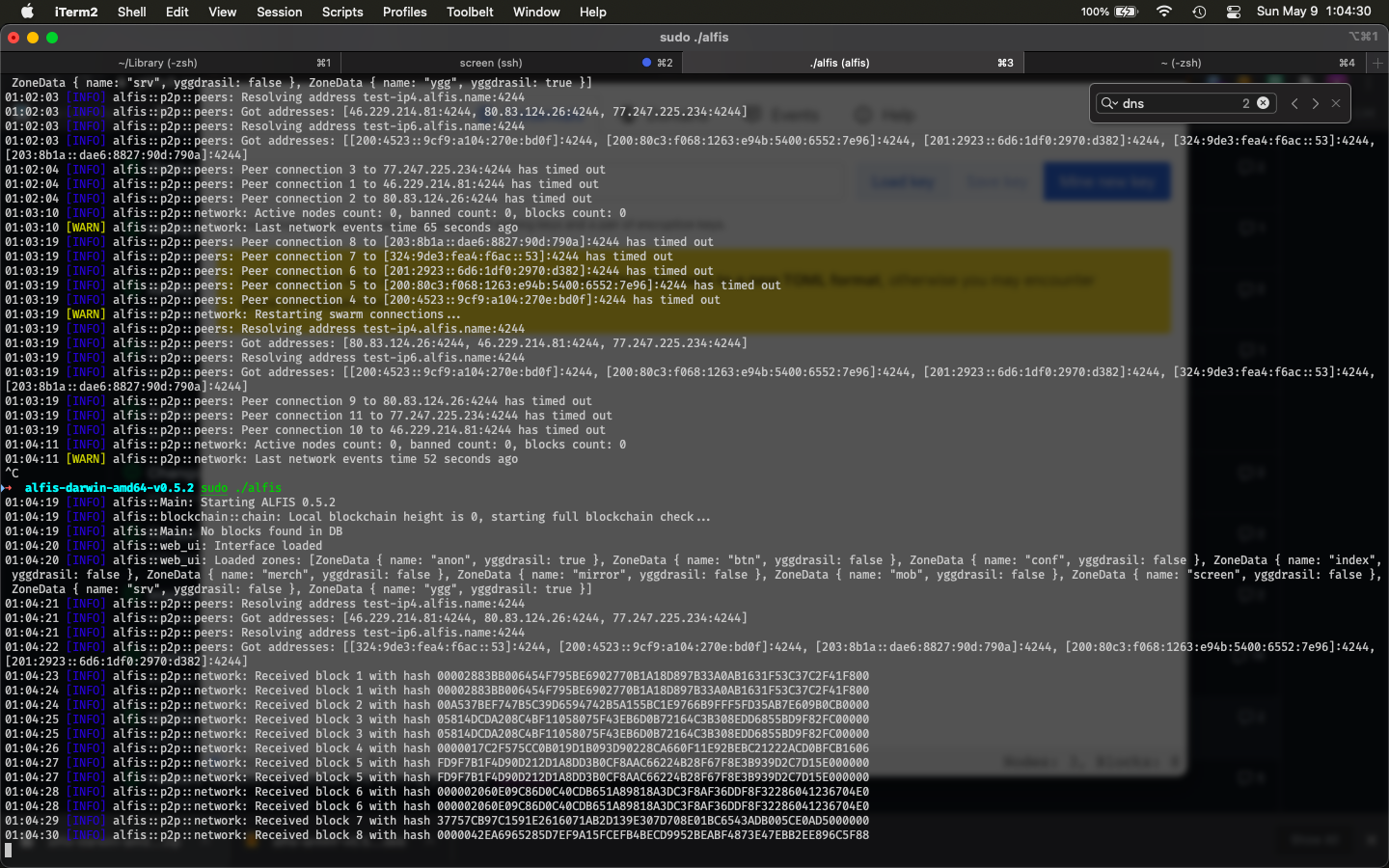 Screen Shot 2021-05-09 at 1 04 30 AM