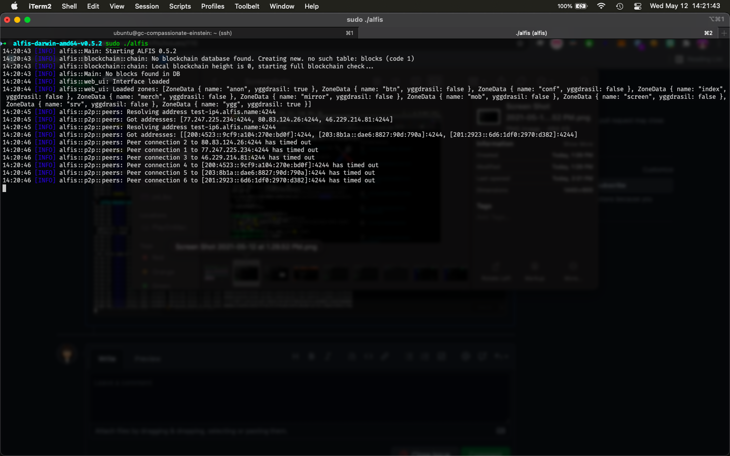 Screen Shot 2021-05-12 at 2 21 43 PM