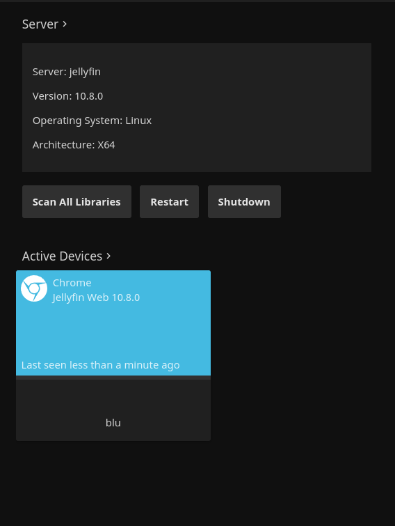 [Issue] 10.8.0 Error in ffprobe? · Issue 7872 · jellyfin/jellyfin