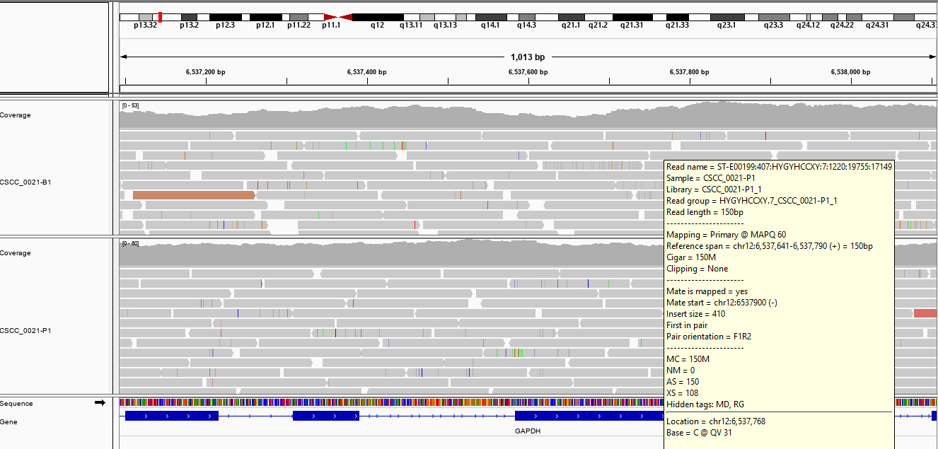 Long-running Assemble Step · Issue #349 · PapenfussLab/gridss · GitHub