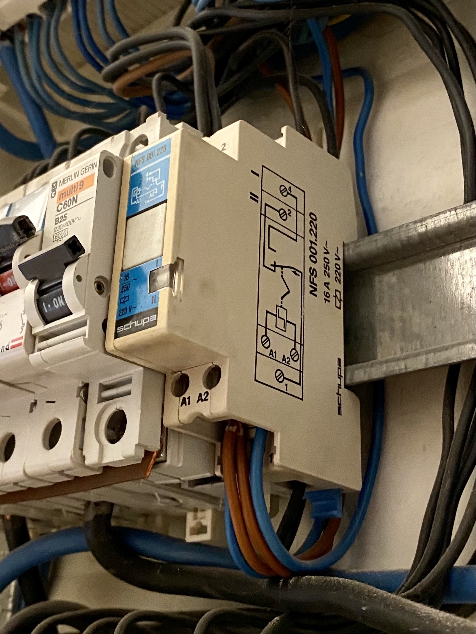 Shelly 1 Momentary Switch issue · Issue 150 · mongooseosapps/shellyhomekit · GitHub