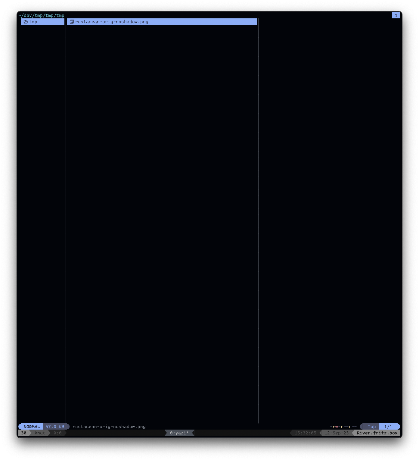 Image Preview Stops Working In Tmux Issue 142 Sxyazi Yazi Github