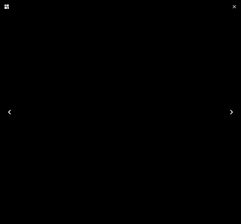 amp-lighbox-gallery-bug jelley fish_lightbox