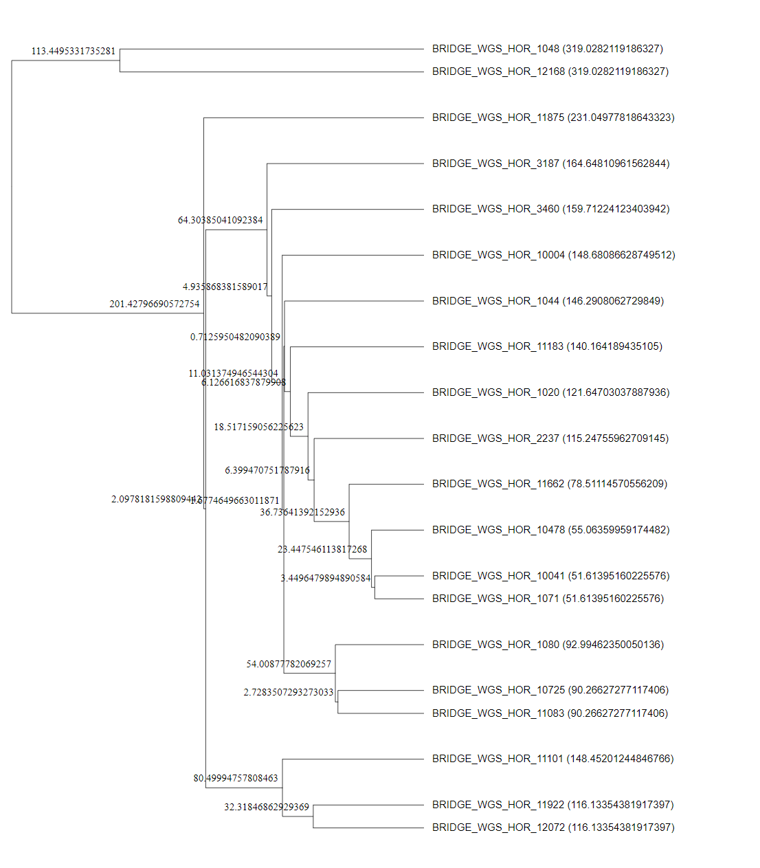 GitHub - Sanjeevan-informatik/VCFToPhylogenetic · GitHub