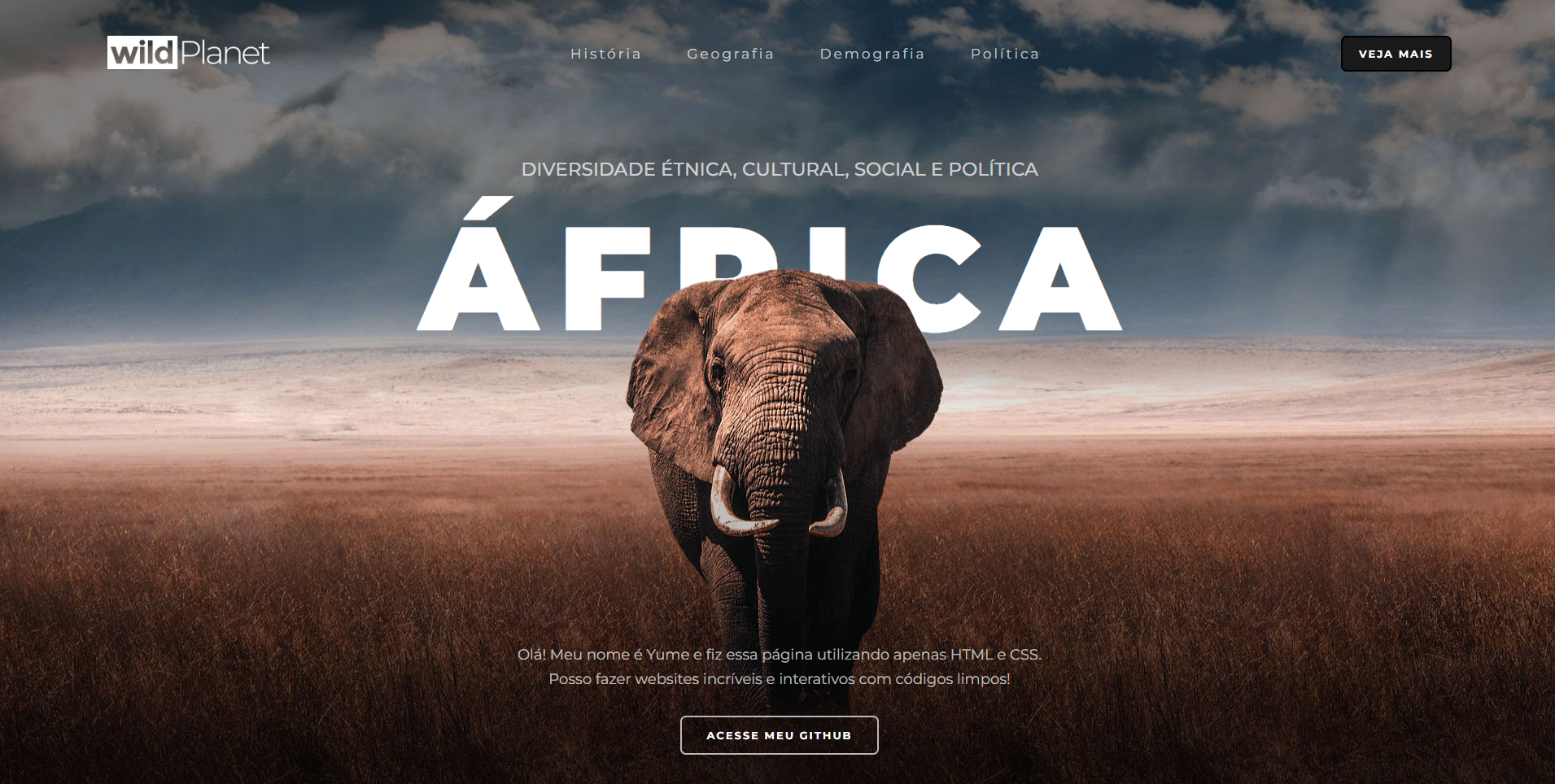 GitHub - YumeDakuzaku/FrontEnd-Africa: Criação de uma home page ...