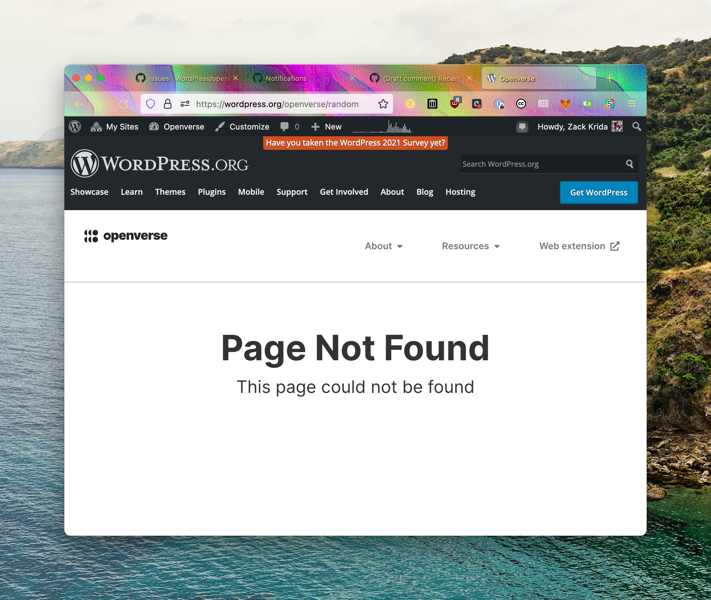 404 page doesn't respect 'embedded' mode · Issue #487 · WordPress ...