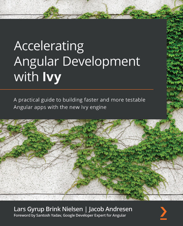 Accelerating Angular Development with Ivy (book)