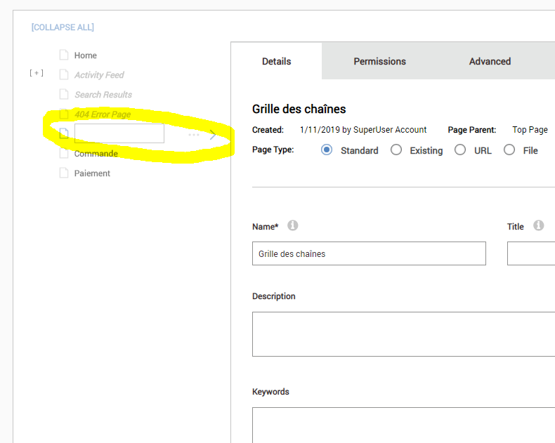 Pages: Page name disapears when editing some settings · Issue #308 ...
