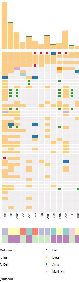 Oncoplot customization · Issue #490 · PoisonAlien/maftools · GitHub