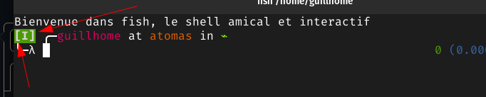 [I] character before command · Issue #8534 · fish-shell/fish-shell · GitHub