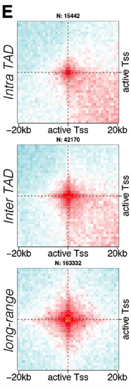 Screenshot 2020-04-25 at 20 18 38