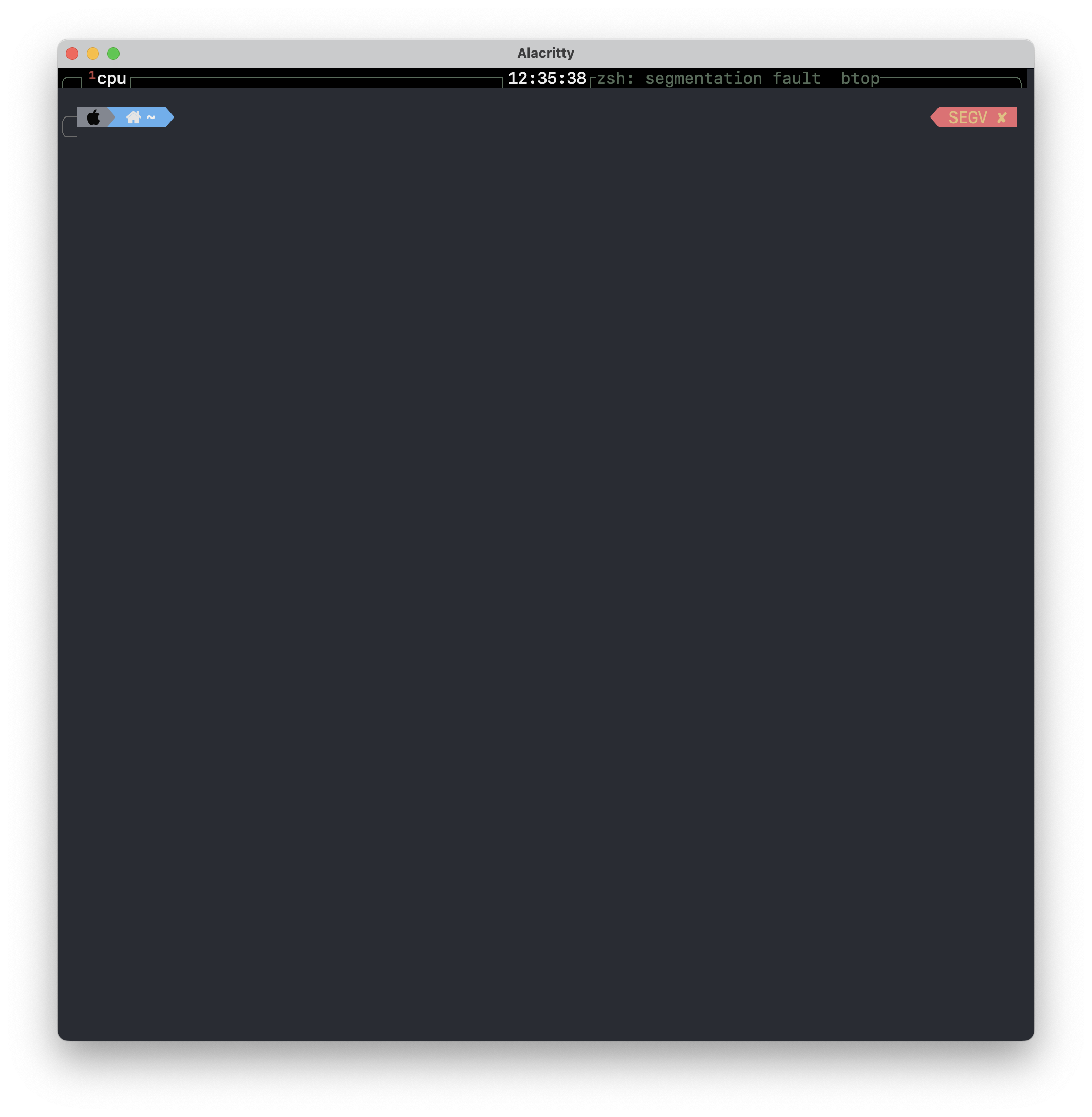 [BUG] MacOS 12.3.1 SEGFAULT · Issue #317 · aristocratos/btop · GitHub