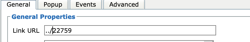 Screen Shot 2020-02-12 at 2 38 47 PM