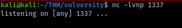 vulnversitynetcat