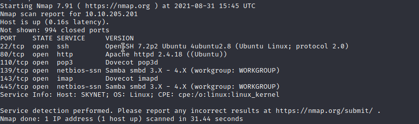 skynetnmap
