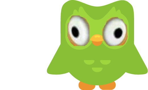 `DuoOwl`