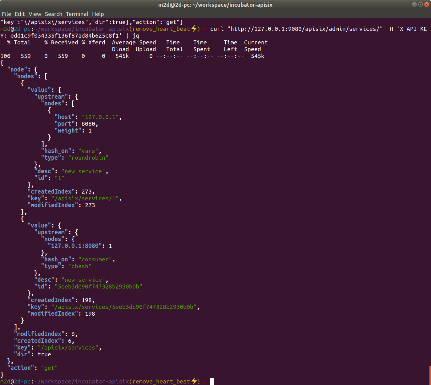 [Question] How to connect this dashboard to a dev apisix process ...