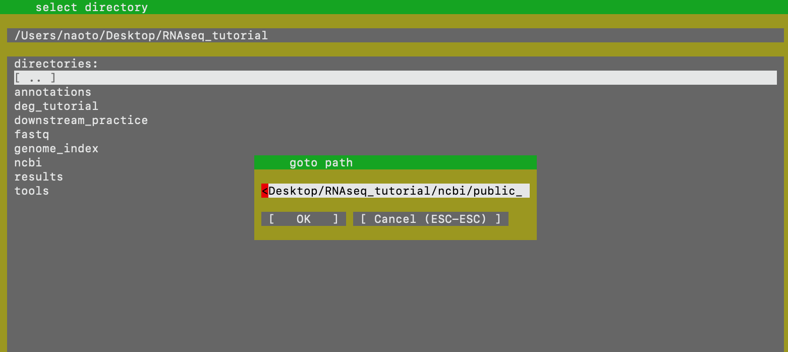 Screen Shot 2022-06-15 at 21 37 28