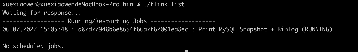 FlinkCDC Job has been cancelled，but the connection bwteen JobManager ...