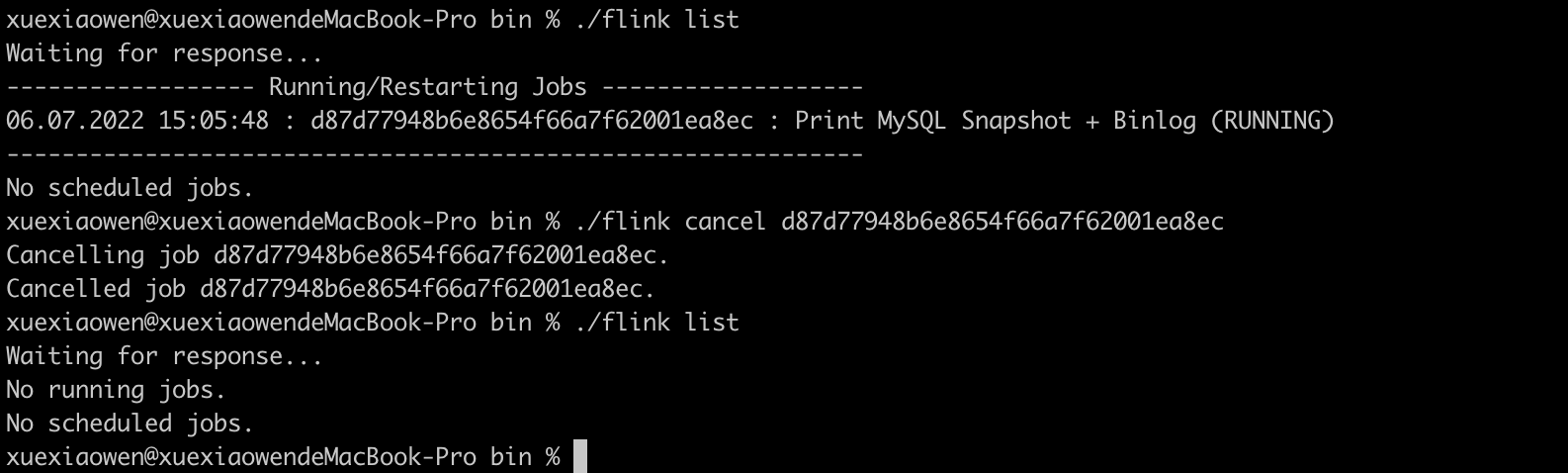 FlinkCDC Job has been cancelled，but the connection bwteen JobManager ... image.