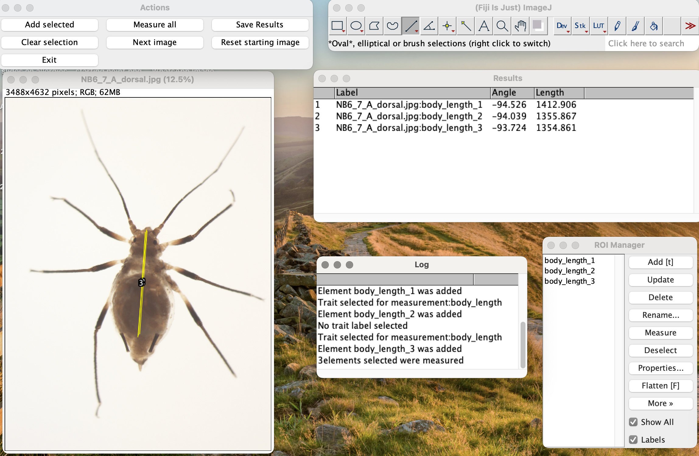 GitHub - maudbv/AphidTraitPlugin: Plugin for measurements of aphid ...