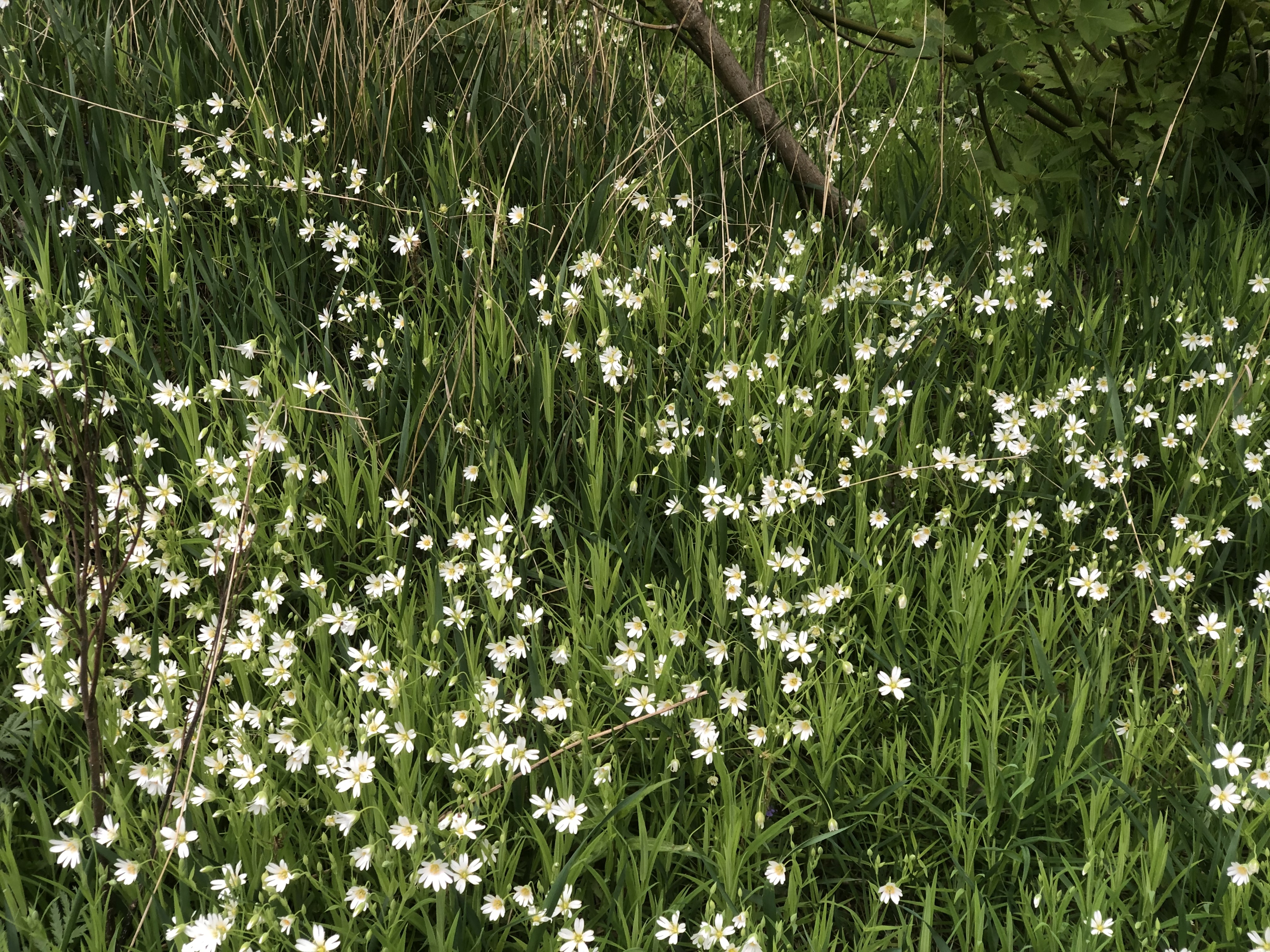 20200508_113050_C0150F25