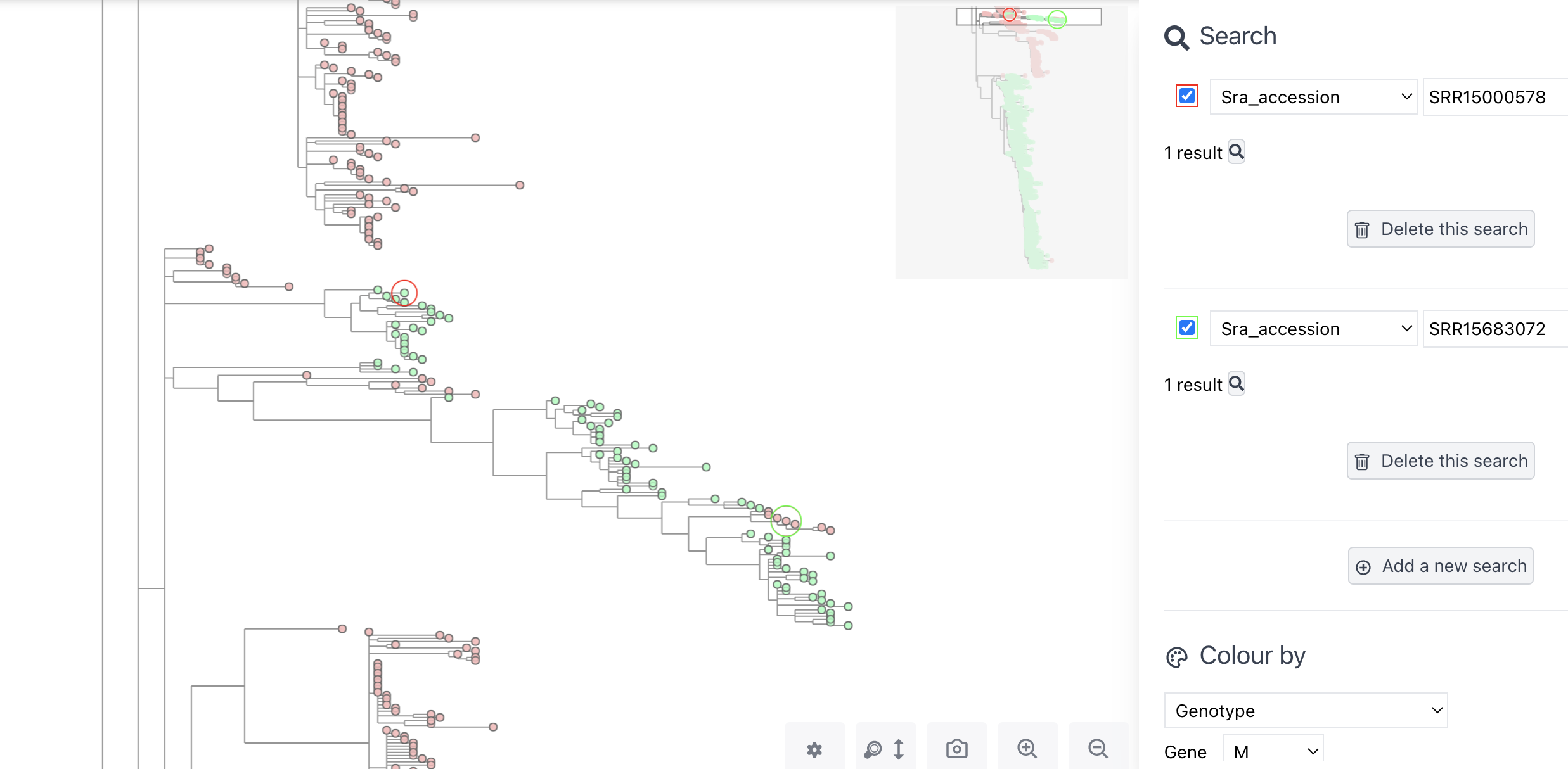 M82 is a mess for everyone · Issue #65 · iqbal-lab-org/viridian · GitHub