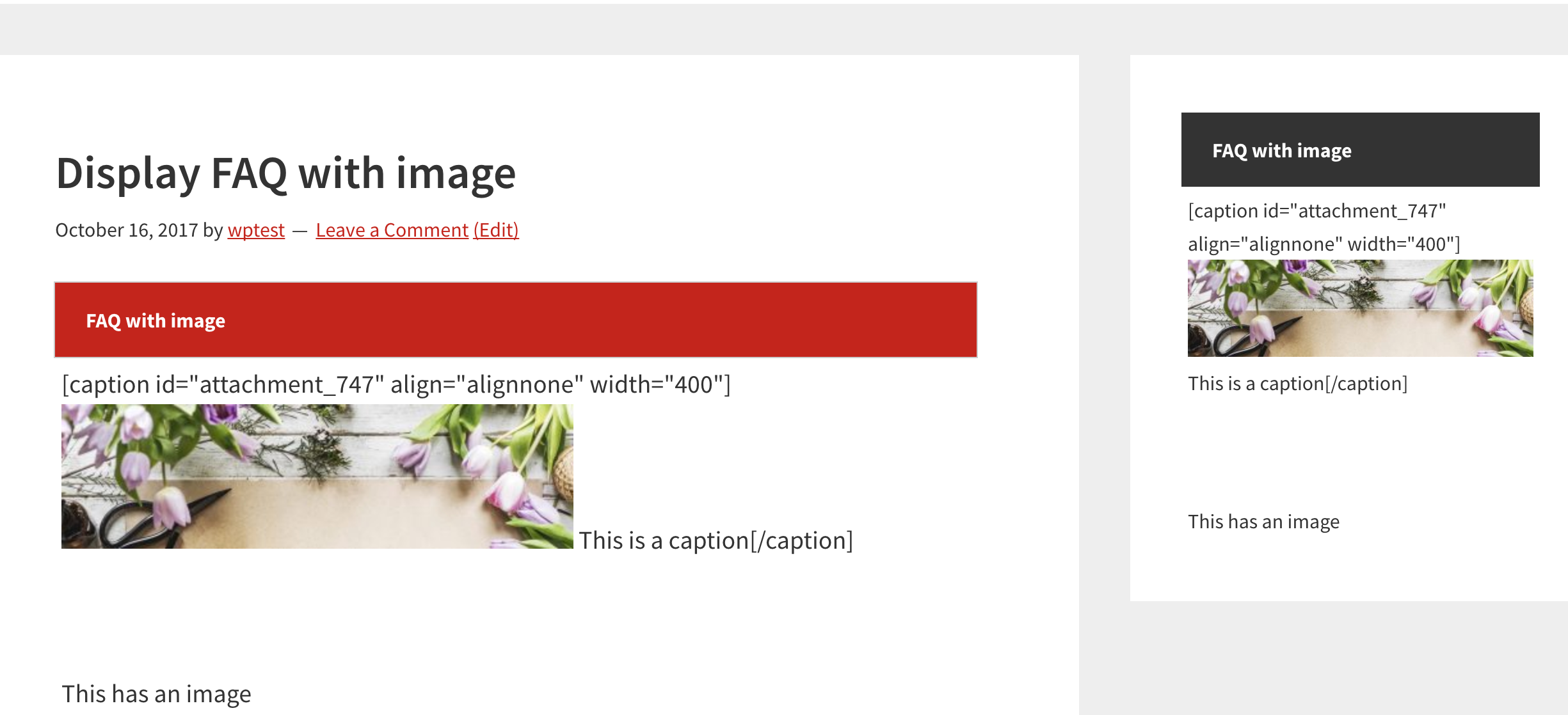Shortcodes such as [caption] are not rendered in answers · Issue #35 ...